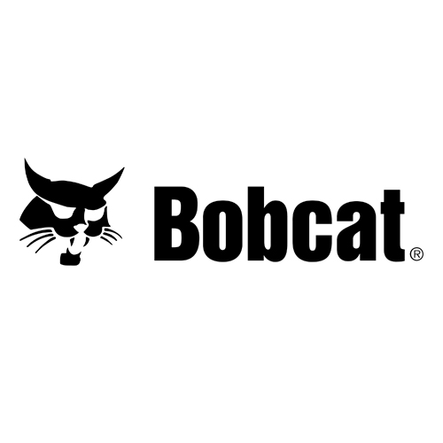 Bobcat