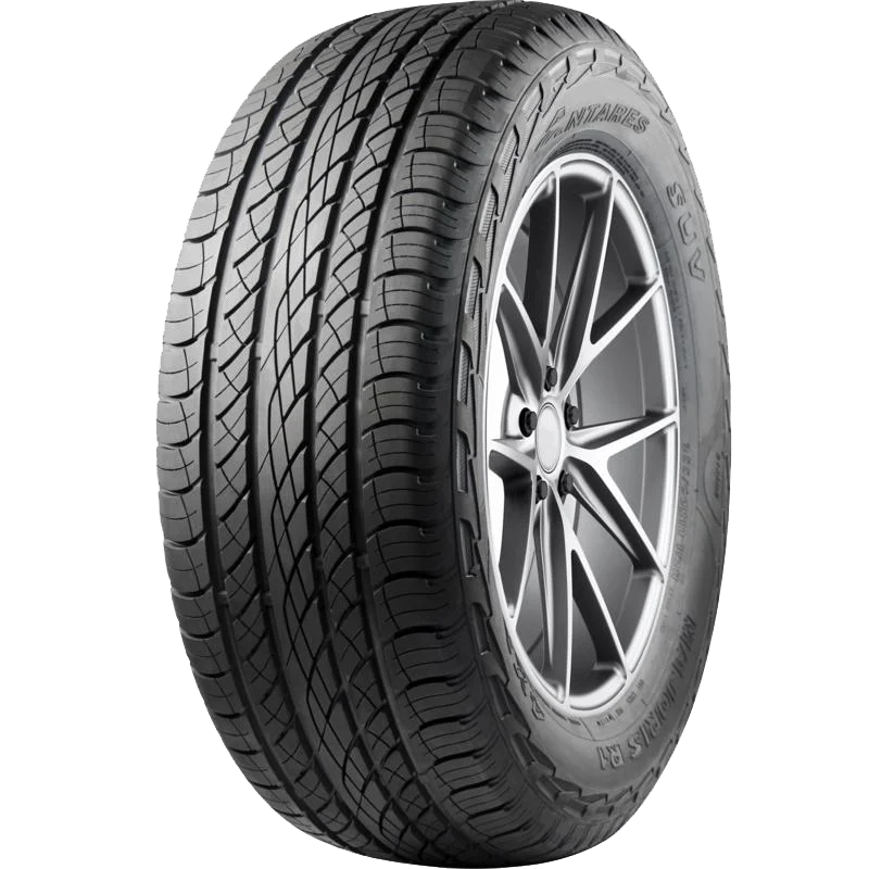 Majoris R1
